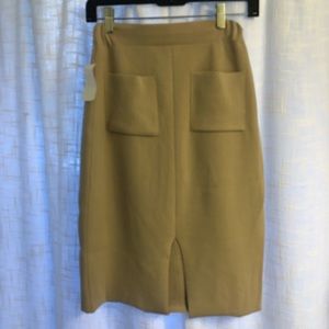 Pencil skirt